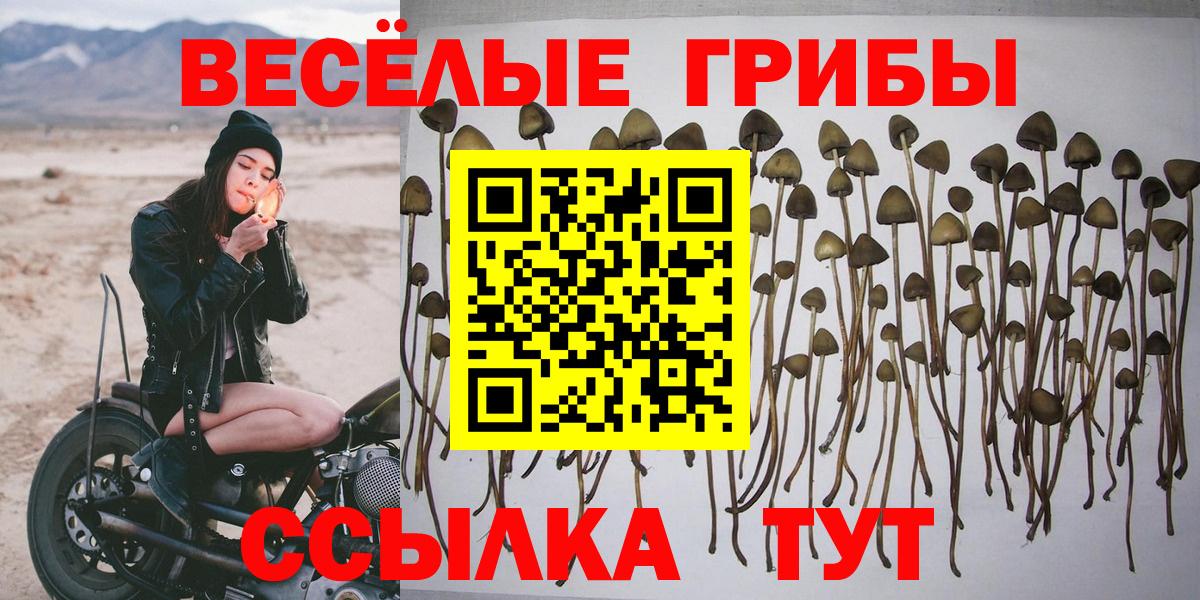 Галлюциногенные грибы Psilocybe  Вход с VPN  Батайск 
