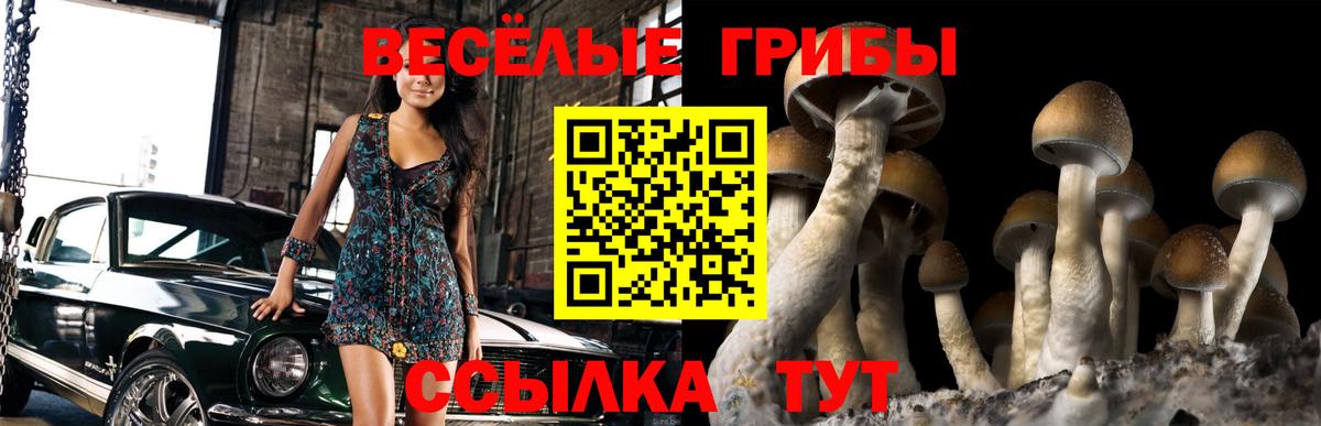 Галлюциногенные грибы прущие грибы Батайск